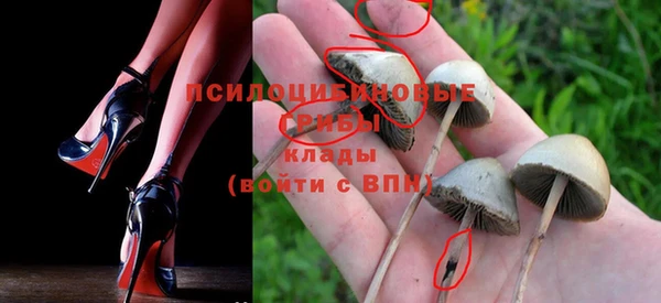 прущий лед Белоозёрский